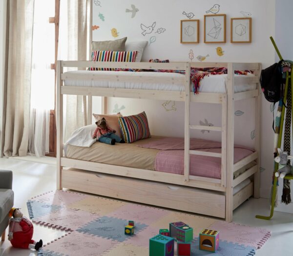 litera premier - Imagen 2